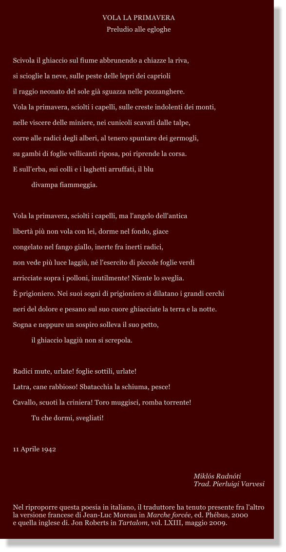 VOLA LA PRIMAVERA Preludio alle egloghe  Scivola il ghiaccio sul fiume abbrunendo a chiazze la riva, si scioglie la neve, sulle peste delle lepri dei caprioli il raggio neonato del sole gi sguazza nelle pozzanghere. Vola la primavera, sciolti i capelli, sulle creste indolenti dei monti, nelle viscere delle miniere, nei cunicoli scavati dalle talpe, corre alle radici degli alberi, al tenero spuntare dei germogli, su gambi di foglie vellicanti riposa, poi riprende la corsa. E sull'erba, sui colli e i laghetti arruffati, il blu divampa fiammeggia.  Vola la primavera, sciolti i capelli, ma l'angelo dell'antica  libert pi non vola con lei, dorme nel fondo, giace congelato nel fango giallo, inerte fra inerti radici, non vede pi luce laggi, n l'esercito di piccole foglie verdi arricciate sopra i polloni, inutilmente! Niente lo sveglia.  prigioniero. Nei suoi sogni di prigioniero si dilatano i grandi cerchi neri del dolore e pesano sul suo cuore ghiacciate la terra e la notte. Sogna e neppure un sospiro solleva il suo petto, il ghiaccio laggi non si screpola.  Radici mute, urlate! foglie sottili, urlate! Latra, cane rabbioso! Sbatacchia la schiuma, pesce! Cavallo, scuoti la criniera! Toro muggisci, romba torrente! Tu che dormi, svegliati!  11 Aprile 1942           Mikls Radnti Trad. Pierluigi Varvesi   Nel riproporre questa poesia in italiano, il traduttore ha tenuto presente fra l'altro la versione francese di Jean-Luc Moreau in Marche force, ed. Phbus, 2000 e quella inglese di. Jon Roberts in Tartalom, vol. LXIII, maggio 2009.