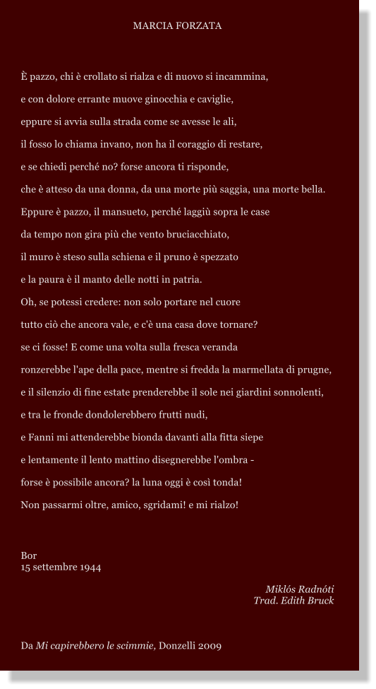 MARCIA FORZATA    pazzo, chi  crollato si rialza e di nuovo si incammina, e con dolore errante muove ginocchia e caviglie, eppure si avvia sulla strada come se avesse le ali, il fosso lo chiama invano, non ha il coraggio di restare, e se chiedi perch no? forse ancora ti risponde, che  atteso da una donna, da una morte pi saggia, una morte bella. Eppure  pazzo, il mansueto, perch laggi sopra le case da tempo non gira pi che vento bruciacchiato, il muro  steso sulla schiena e il pruno  spezzato e la paura  il manto delle notti in patria. Oh, se potessi credere: non solo portare nel cuore tutto ci che ancora vale, e c' una casa dove tornare? se ci fosse! E come una volta sulla fresca veranda ronzerebbe l'ape della pace, mentre si fredda la marmellata di prugne, e il silenzio di fine estate prenderebbe il sole nei giardini sonnolenti, e tra le fronde dondolerebbero frutti nudi, e Fanni mi attenderebbe bionda davanti alla fitta siepe e lentamente il lento mattino disegnerebbe l'ombra - forse  possibile ancora? la luna oggi  cos tonda! Non passarmi oltre, amico, sgridami! e mi rialzo!   Bor 15 settembre 1944  Mikls Radnti Trad. Edith Bruck  Da Mi capirebbero le scimmie, Donzelli 2009