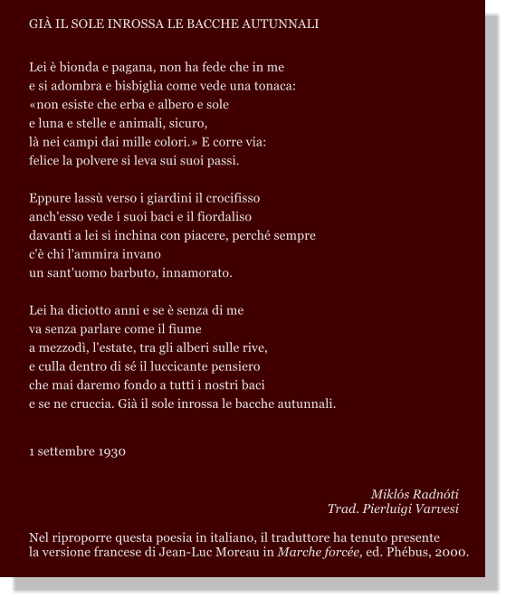 GI IL SOLE INROSSA LE BACCHE AUTUNNALI   Lei  bionda e pagana, non ha fede che in me e si adombra e bisbiglia come vede una tonaca: non esiste che erba e albero e sole e luna e stelle e animali, sicuro, l nei campi dai mille colori. E corre via: felice la polvere si leva sui suoi passi.  Eppure lass verso i giardini il crocifisso anch'esso vede i suoi baci e il fiordaliso davanti a lei si inchina con piacere, perch sempre c' chi l'ammira invano un sant'uomo barbuto, innamorato.  Lei ha diciotto anni e se  senza di me va senza parlare come il fiume a mezzod, l'estate, tra gli alberi sulle rive, e culla dentro di s il luccicante pensiero che mai daremo fondo a tutti i nostri baci e se ne cruccia. Gi il sole inrossa le bacche autunnali.   1 settembre 1930   Mikls Radnti 				        Trad. Pierluigi Varvesi  Nel riproporre questa poesia in italiano, il traduttore ha tenuto presente  la versione francese di Jean-Luc Moreau in Marche force, ed. Phbus, 2000.